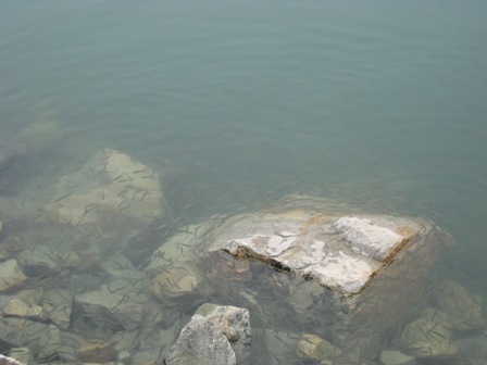 石壁水塘